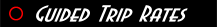 Trip details for Riddles Guide Service - Matagorda saltwater fishing, Matagorda Bay fishing
